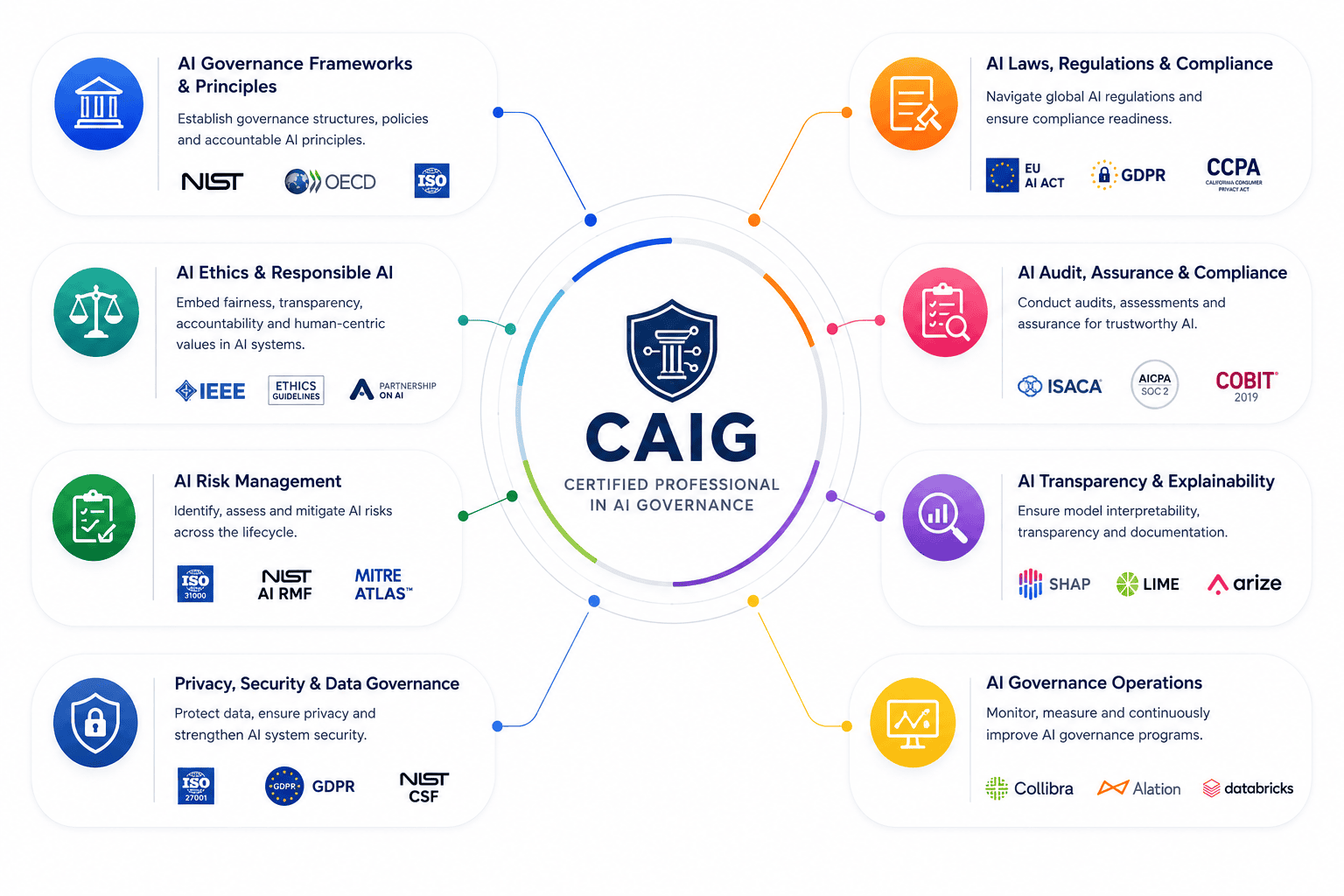 Certified Professional in AI Governance 10 The CAIG frameworks and tools ecosystem, in eight groups